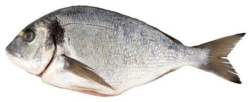 Fresh Silver Seabream at Amiri Seafood