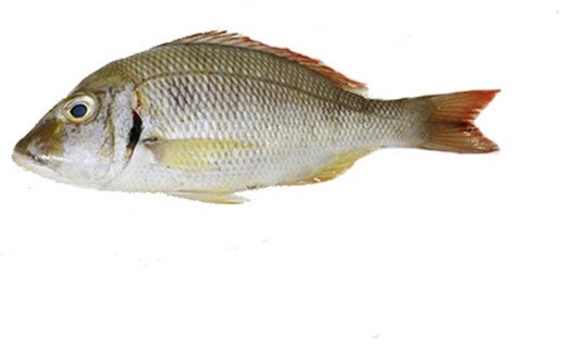 Emperor - frozen seafood from Amiri Seafood