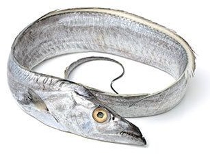 Ribbon Fish - frozen seafood from Amiri Seafood
